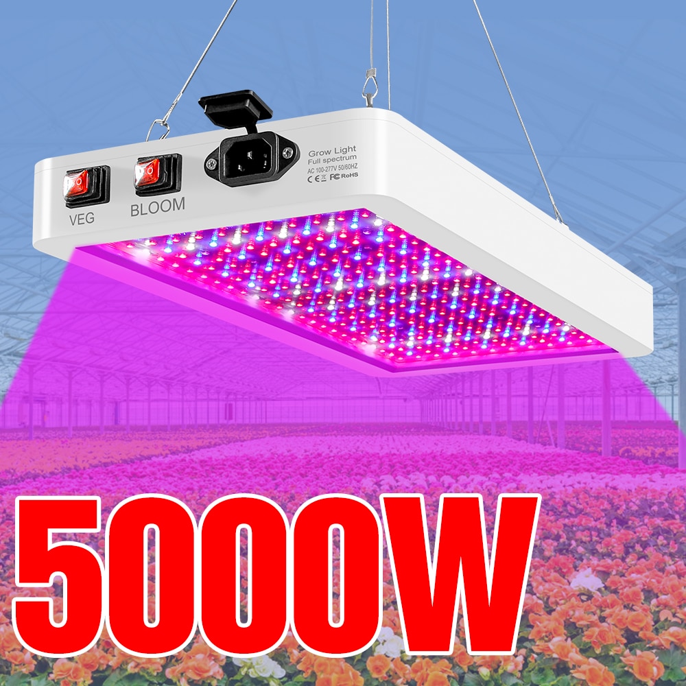5000W   LED   Ĺ , ü Ʈ ..